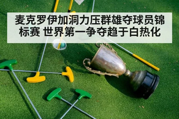 麦克罗伊加洞力压群雄夺球员锦标赛 世界第一争夺趋于白热化